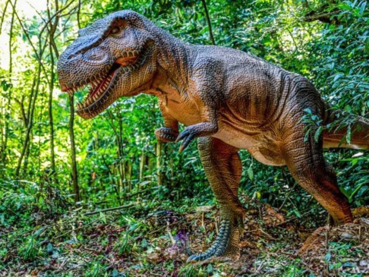 Parque dos Dinossauros